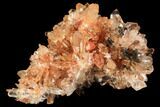 Orange Creedite Crystal Cluster - Durango, Mexico #84203-1